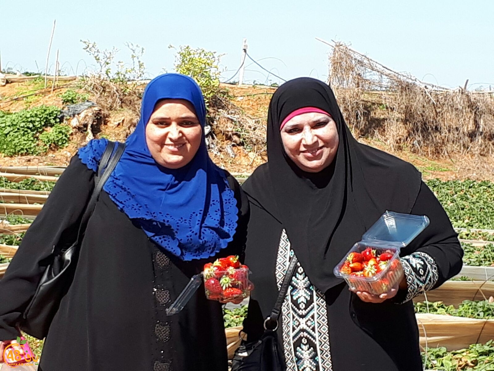 ab7bableaqsaa3 (25).jpg